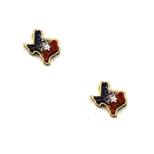 Load image into Gallery viewer, Texas Druzy Studs
